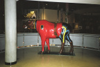 Another picture taken of the RCMP moose in the CN Tower.