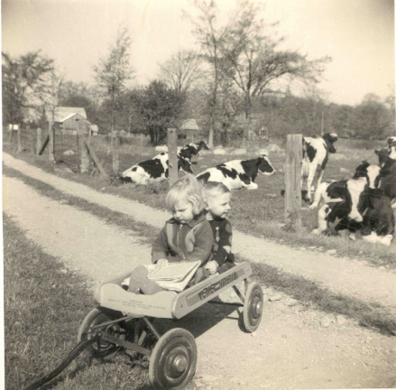 09-laurie-brian-wagon-55