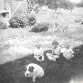 12-terry-laurie-brian-dog-56