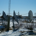 Fort Severn dish farm