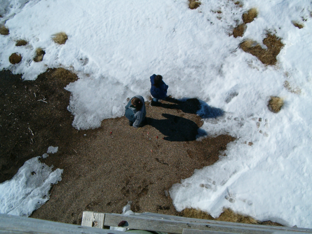 Atop the lookout tower