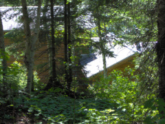 Looking at the top of the house through the bush from on top of the hill where the cars are parked