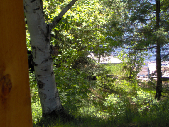 From the front porch, through the bush to the two docks on Abram Lake