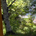 From the front porch, through the bush to the two docks on Abram Lake