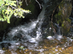 The waterfalls at the back of the house. This water flows from Hannah Lake that borders the back of the property and is an inlan