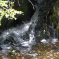 The waterfalls at the back of the house. This water flows from Hannah Lake that borders the back of the property and is an inlan