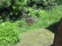 The waterfall and stream from the back porch