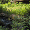 The stream from the waterfall flowing past the side porch down to Abram Lake