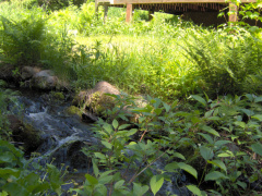 Another view of the stream and the porch