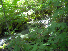 The stream coming down the hill just before it enters Abram Lake