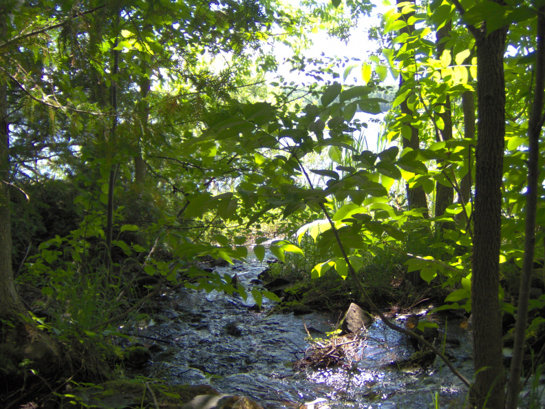 The stream as it enters Abram Lake