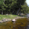 The rocky shore in front of the grassy area