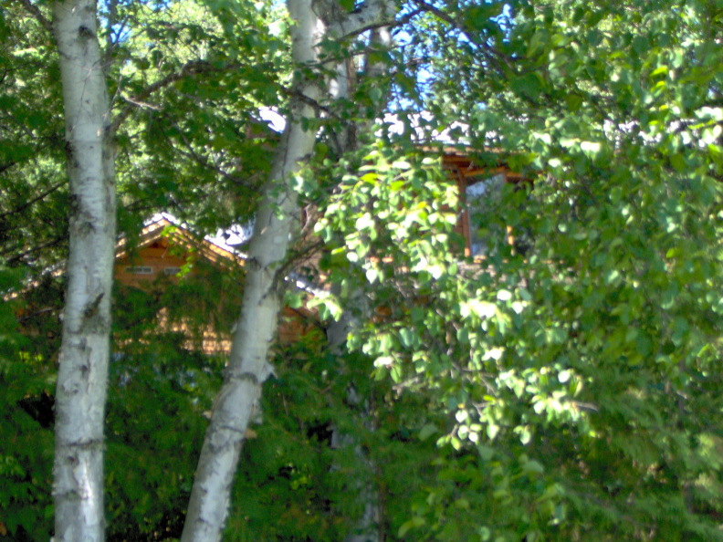 The house through the trees from the shore