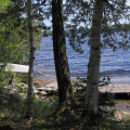 The two floating docks on the other side of the cedar grove