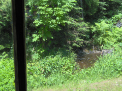 The waterfall from the living room window