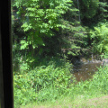 The waterfall from the living room window