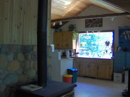 The kitchen from the living room