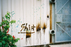 Graffiti on Kejick Bay wireless equipment shed