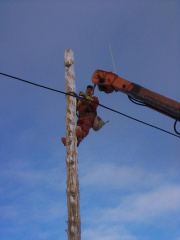 Roy attaching the wire to the pole.