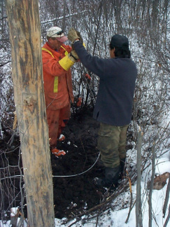 Tightening the guy wire.