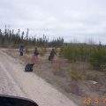The Nursing Station Crew Working on the side of the road making sure all the garbage is picked up