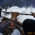 Elder Bill Rae shows us how to roast moose fat over the fire. We all know how rare fat is on a moose. :)