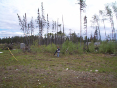 Thats Derry Kakegamic in the bush cleaning up.