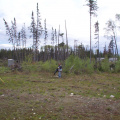 Thats Derry Kakegamic in the bush cleaning up.