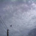 Just thought I would snap a shot of a plane flying overhead. This plane circled around like two times
