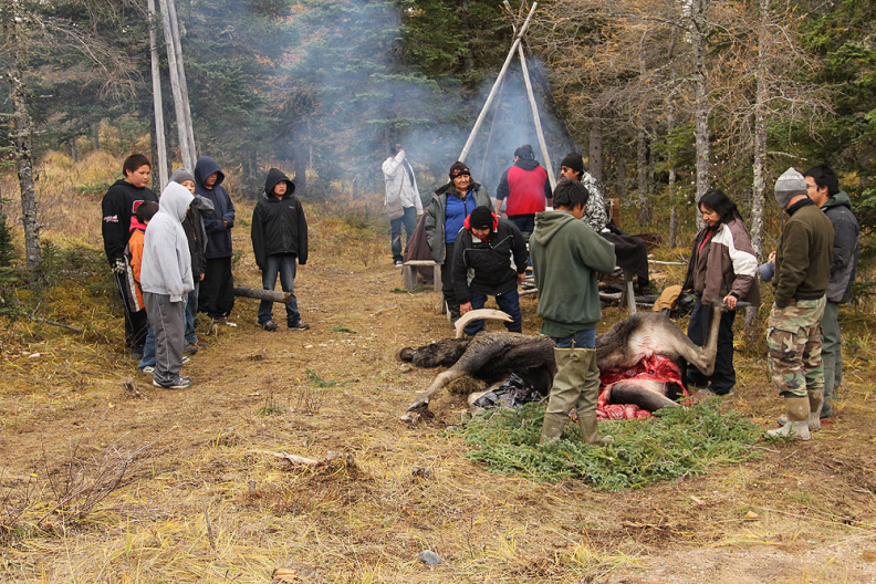 Preparation for the moose feast