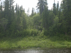 whitefish lake canoe trip 094