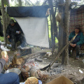 whitefish lake canoe trip 118
