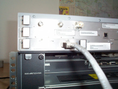 One end of the cable attached to the frame-relay card. The shape of the connector allows the cable to be connected in one partic