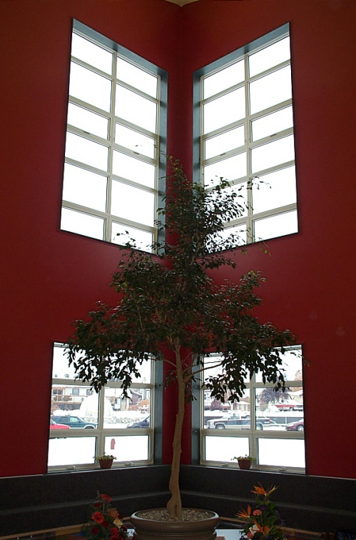 A beautiful view of the main foyer.