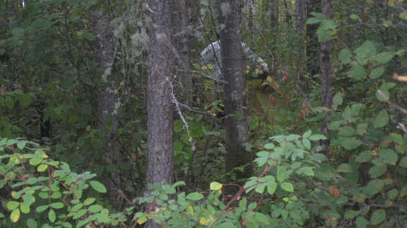 2012-09-13-Canoe-trip-to-Deer-Lake  12 