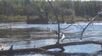 2012-09-14-Canoe-trip-to-Deer-Lake  17 