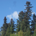 2012-09-14-Canoe-trip-to-Deer-Lake  34 