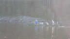 2012-09-15-Canoe-trip-to-Deer-Lake  13 