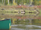 2012-09-17-Canoe-trip-to-Deer-Lake  33 