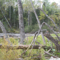 2012-09-17-Canoe-trip-to-Deer-Lake  38 