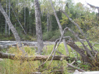 2012-09-17-Canoe-trip-to-Deer-Lake  38 