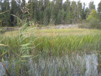 2012-09-17-Canoe-trip-to-Deer-Lake  48 