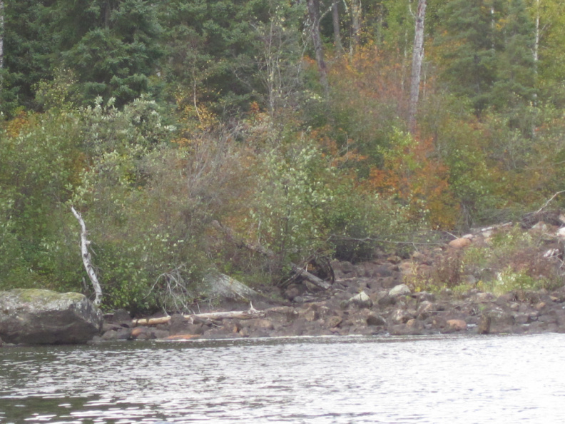 2012-09-18-Canoe-trip-to-Deer-Lake__69_.JPG