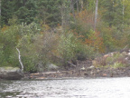 2012-09-18-Canoe-trip-to-Deer-Lake  69 