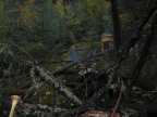 2012-09-19-Canoe-trip-to-Deer-Lake  13 