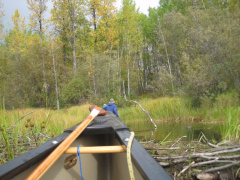 2012-09-24-Canoe-trip-to-Deer-Lake  14 