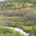 2012-09-24-Canoe-trip-to-Deer-Lake  28 